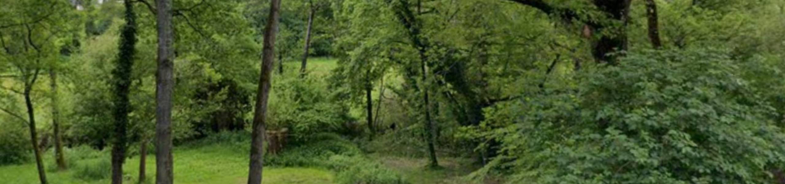 Image Alt