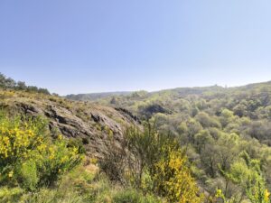 broceliande-paimpont-randonnee-vallee