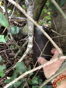 geocaching-cache-randonnee Quelqu'un trouver une cache de géocaching en randonnée.