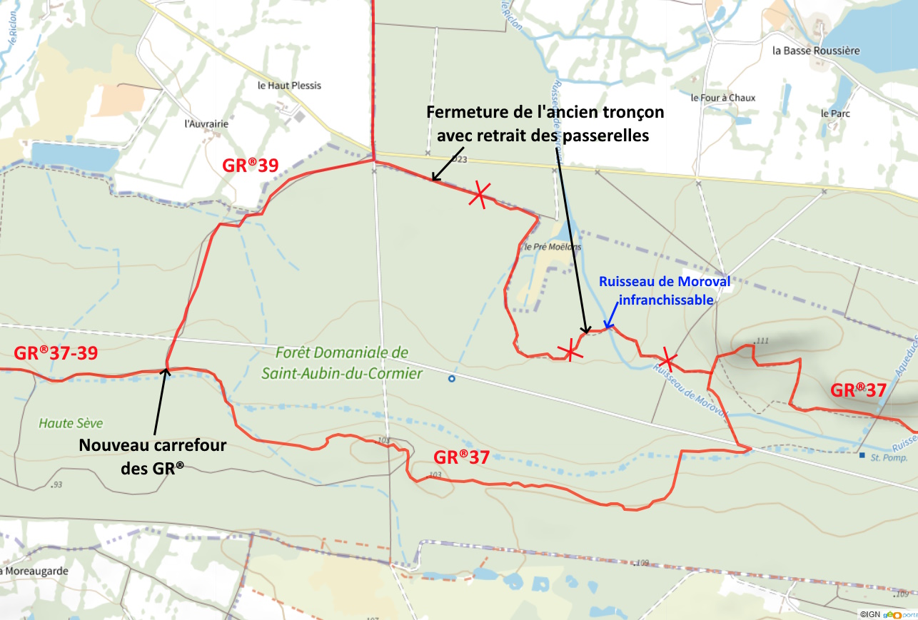 2024-11-foret-de-saint-aubin-du-cormier